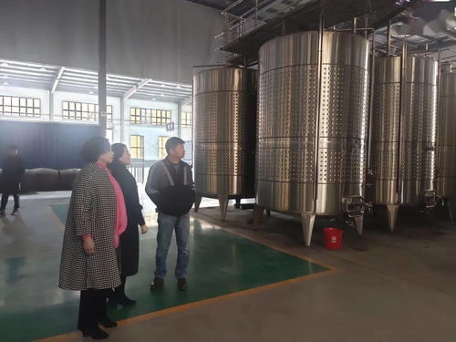 市婦聯(lián)來(lái)我縣調(diào)研婦女創(chuàng)業(yè)就業(yè)工作