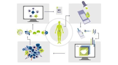 瑞士生物科技公司Navignostics 利用單細胞空間蛋白質(zhì)組學(xué)重塑腫瘤精準治療