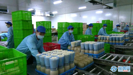 云霄 生物科技助力穩(wěn)產(chǎn)保供，讓市民“菜籃子”拎得更穩(wěn)