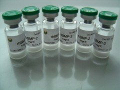 上海博華生物科技 創(chuàng)新驅動，引領生物科技未來